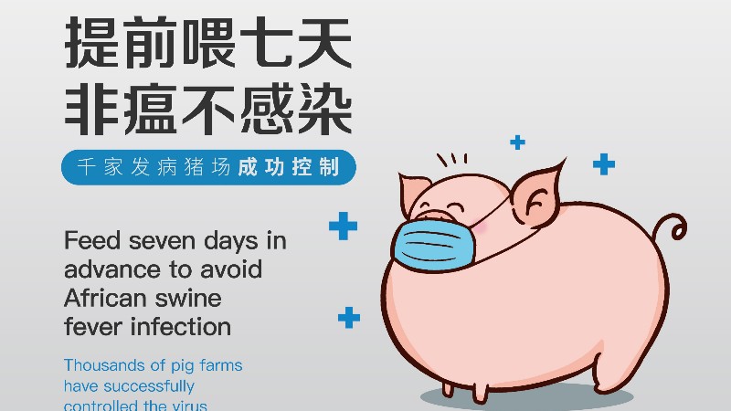 豬藍耳病防控新策略：基于后生元技術(shù)的鐵蘭32解決方案